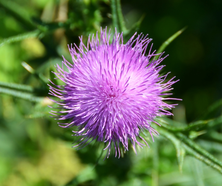 DSC_2653.JPG DSC_2653.JPG